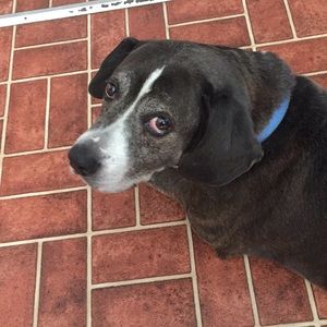 Meet your Posher, Carrie